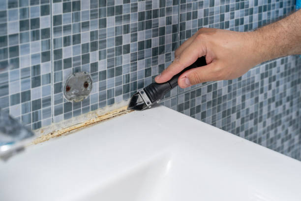 Best Black Mold Remediation in Benson, MN